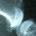 Radiographie d'une fracture du tibia chez un lapin